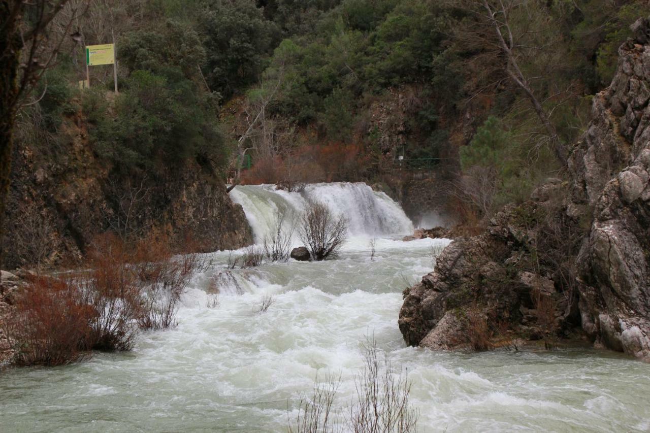 Alojamiento Aguasblanquillas Coto Ríos Zewnętrze zdjęcie