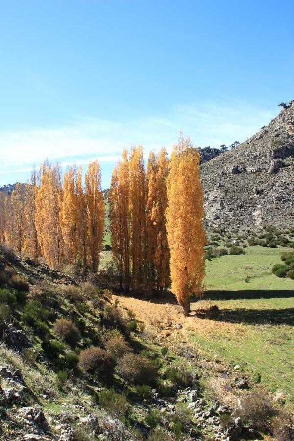 Alojamiento Aguasblanquillas Coto Ríos Zewnętrze zdjęcie